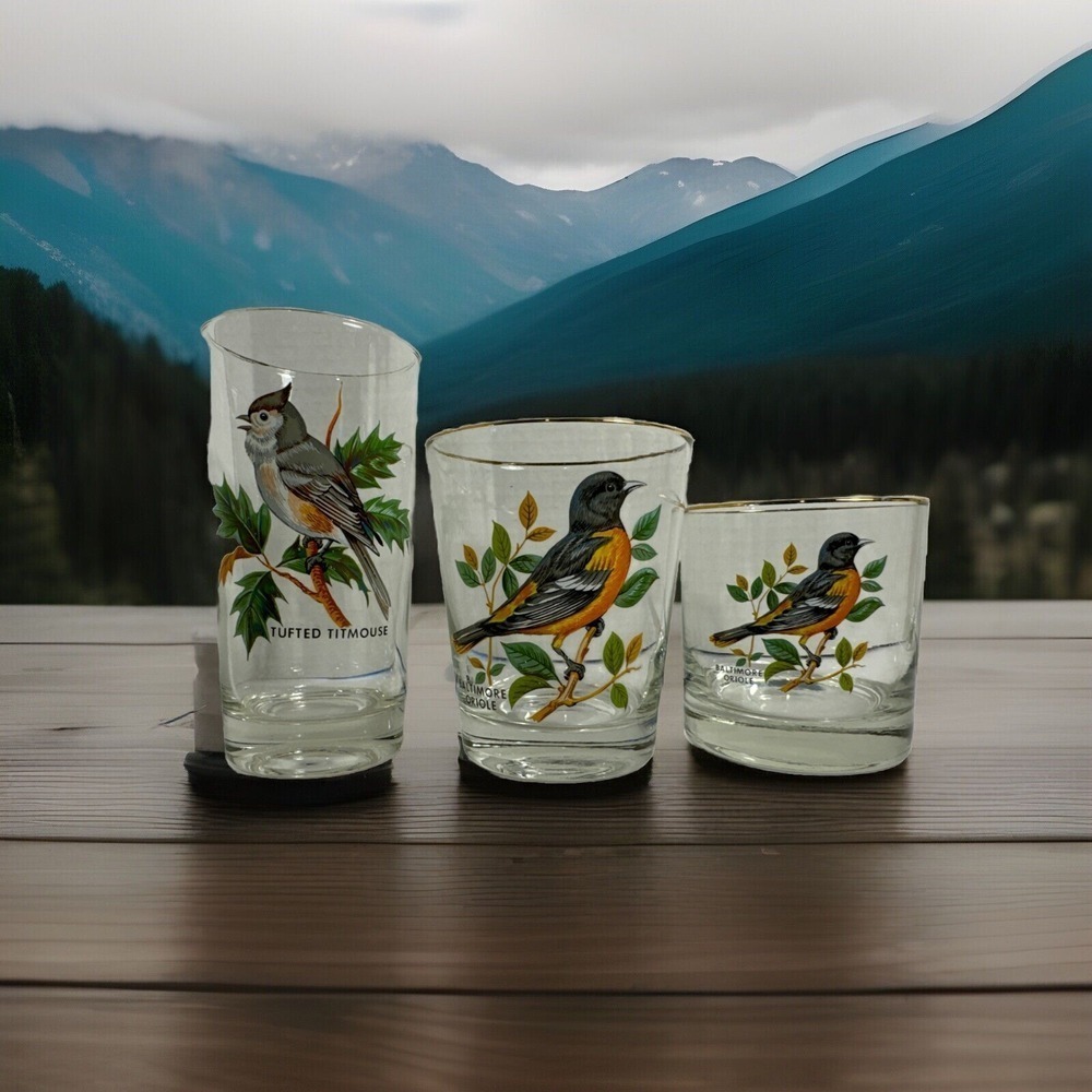 Vintage West Virginia Drinking Glasses American Songbird Gold Rim 3 Sizes